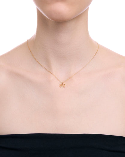 enseigne collection / enseigne necklace